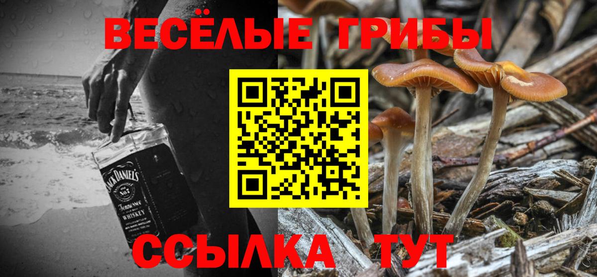 Амурск  Псилоцибиновые грибы Cubensis  где продают наркотики  Вход с VPN  Псилоцибиновые грибы Psilocybine cubensis 