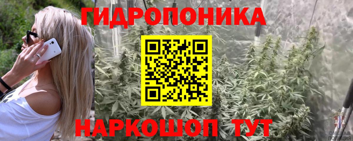 Марихуана MAZAR  Бошки марихуана планчик  Бошки марихуана OG Kush  Вход с VPN  Амурск  Бошки Шишки план 